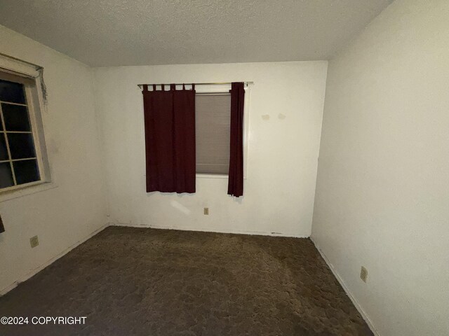 9231 Campbell Ter, Anchorage, AK 99515 - spare room featuring carpet flooring and a textured ceiling