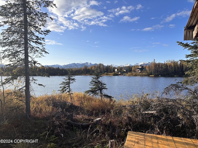 property view of water featuring a mountain view