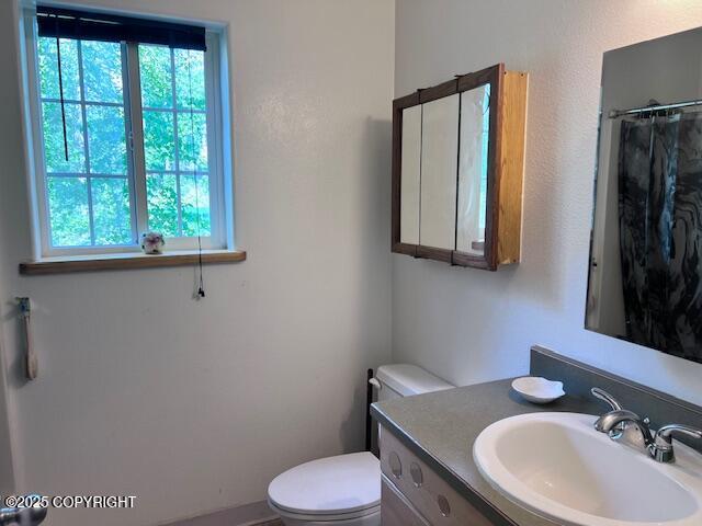 4570 S Navigators Cir, Wasilla, AK 99623 - bathroom with healthy amount of natural light, toilet, vanity, and a shower with curtain