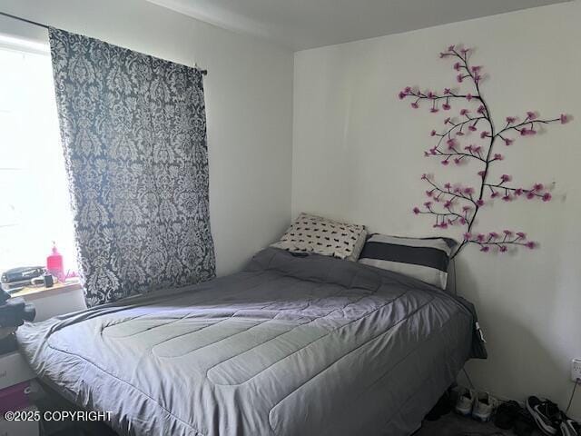 4570 S Navigators Cir, Wasilla, AK 99623 - view of bedroom