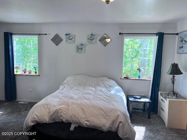 4570 S Navigators Cir, Wasilla, AK 99623 - bedroom with carpet