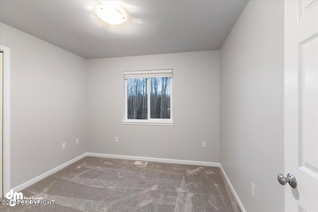 spare room featuring carpet floors