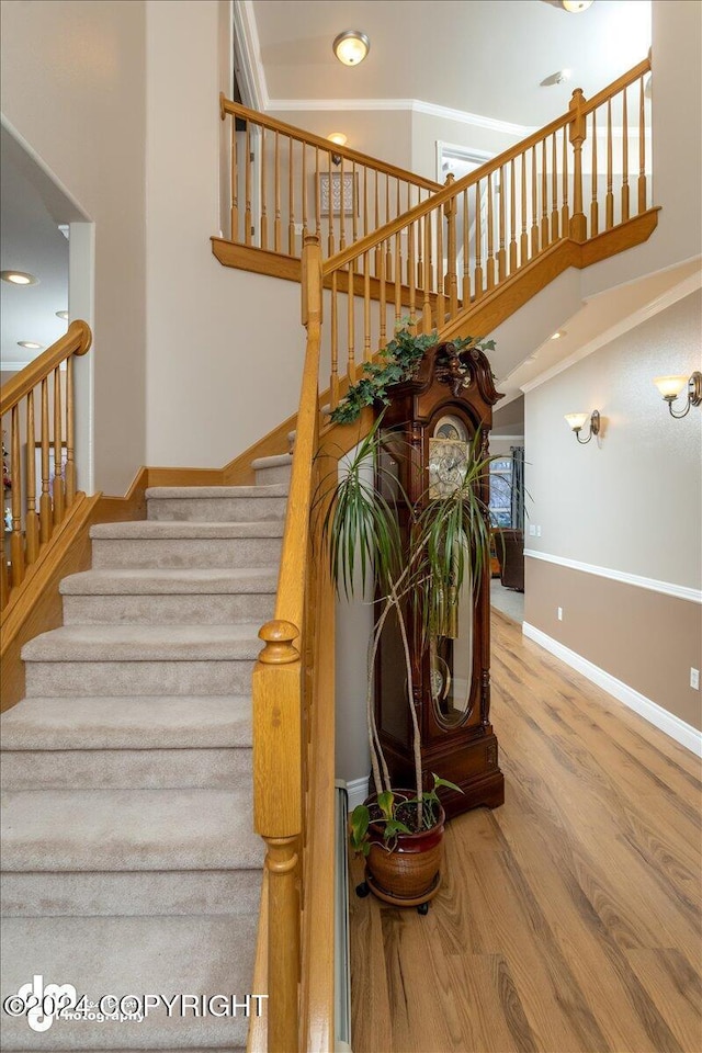 staircase featuring a high ceiling and hardwood / wood-style floors