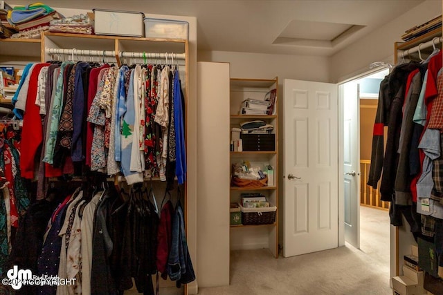 spacious closet with light colored carpet