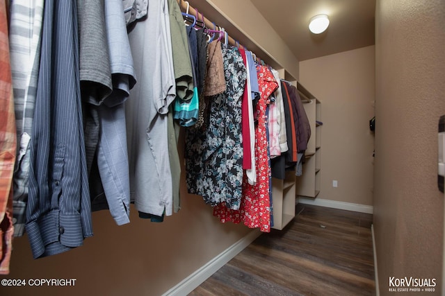 walk in closet with dark hardwood / wood-style flooring