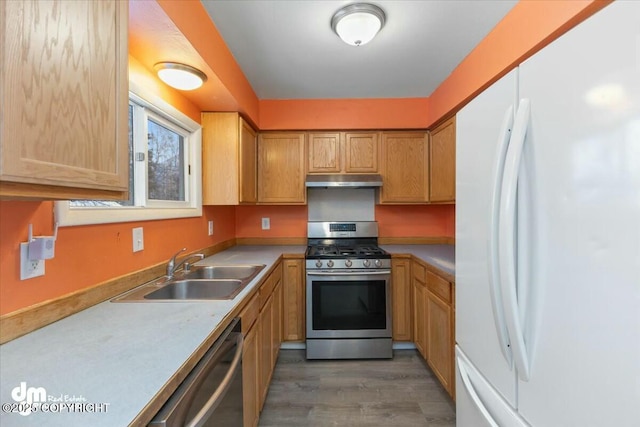 kitchen featuring appliances with stainless steel finishes, dark hardwood / wood-style flooring, and sink