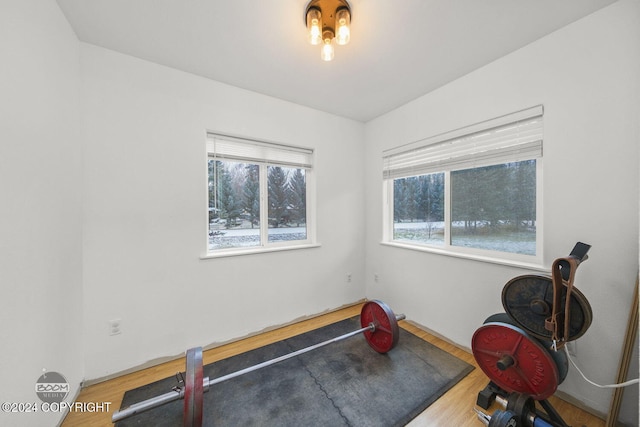 workout room featuring hardwood / wood-style floors