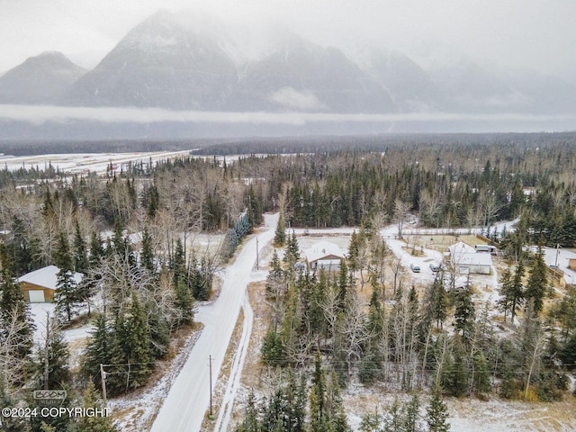 snowy aerial view featuring a mountain view