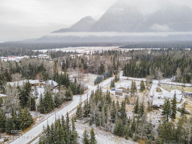 snowy aerial view featuring a mountain view