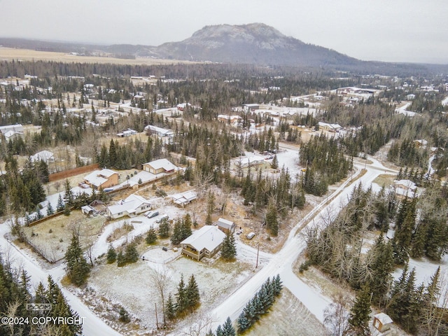 snowy aerial view with a mountain view