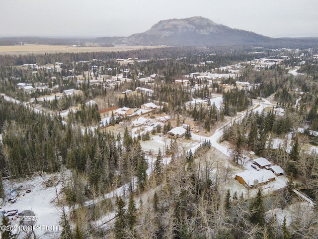 snowy aerial view with a mountain view