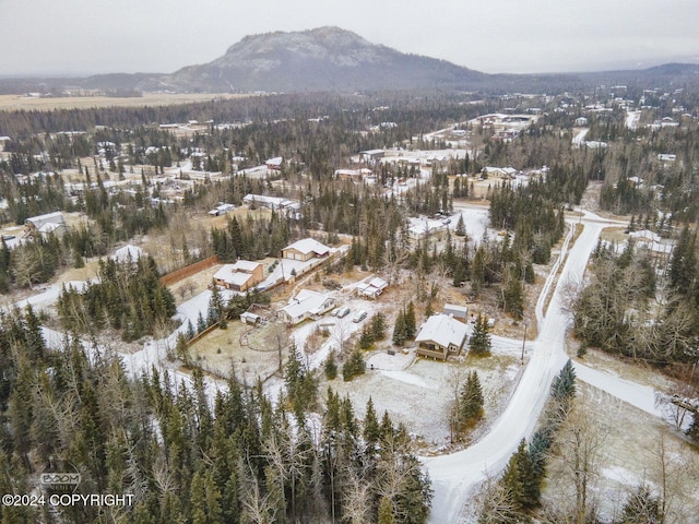 snowy aerial view with a mountain view