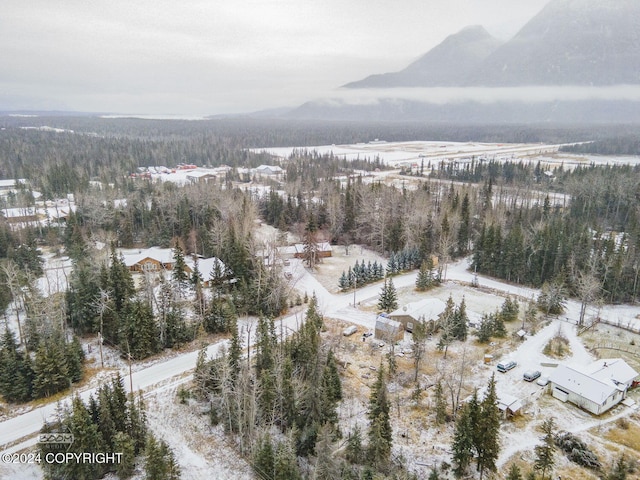 snowy aerial view with a mountain view