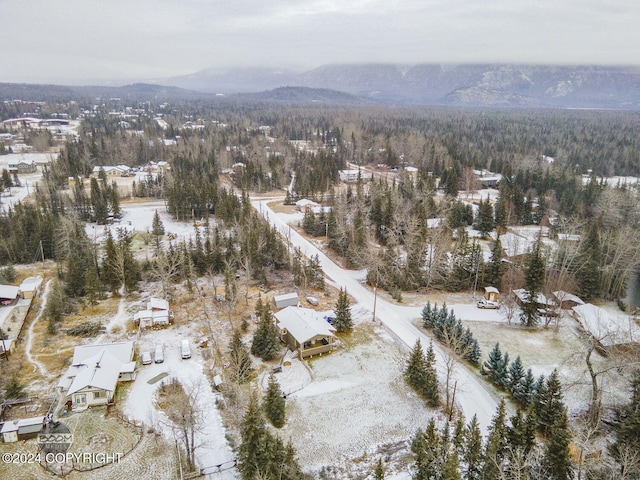 snowy aerial view with a mountain view