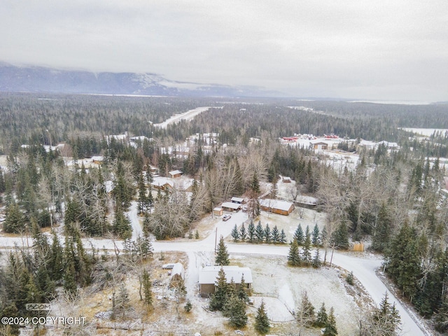 snowy aerial view featuring a mountain view