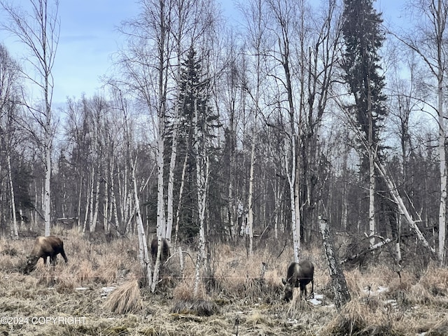9703 River Dr, Palmer, AK 99645