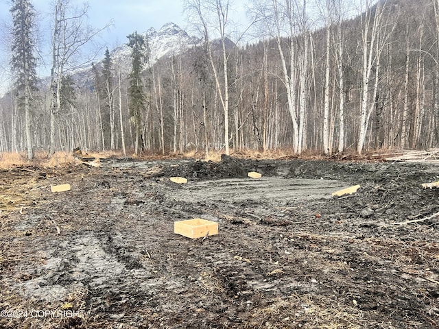9703 River Dr, Palmer, AK 99645