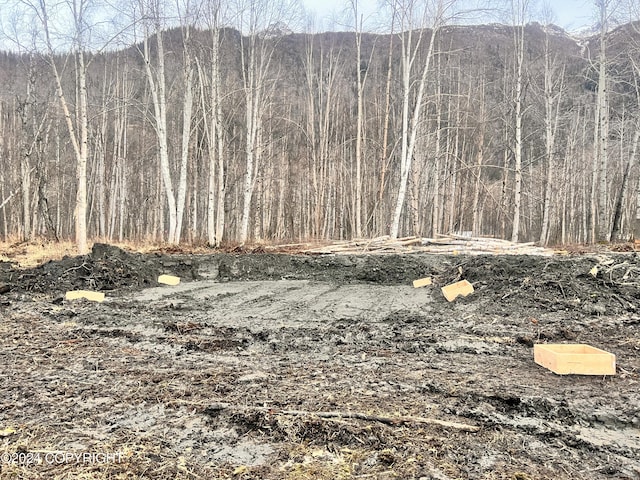 9703 River Dr, Palmer, AK 99645