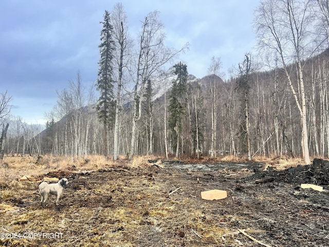 9703 River Dr, Palmer, AK 99645