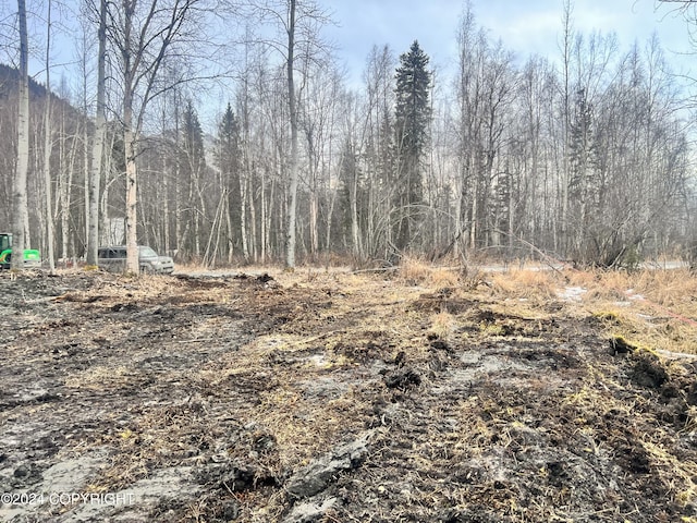 9703 River Dr, Palmer, AK 99645