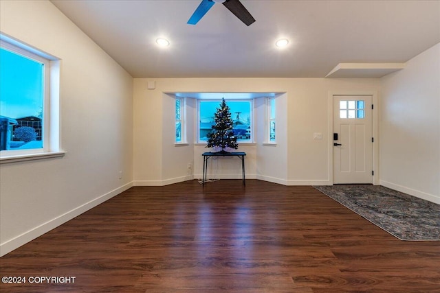 entryway with ceiling fan, dark hardwood / wood-style flooring, and plenty of natural light