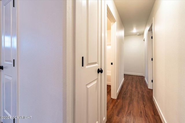 hallway with dark hardwood / wood-style floors