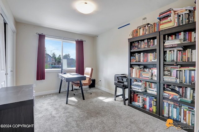 5569 Big Bear Way # 22, Anchorage, AK 99504 - photo 18