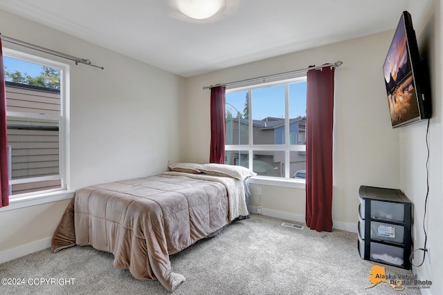 5569 Big Bear Way # 22, Anchorage, AK 99504 - photo 21