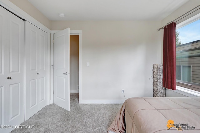 5569 Big Bear Way # 22, Anchorage, AK 99504 - photo 22