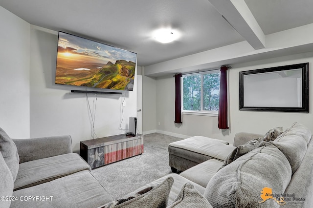 5569 Big Bear Way # 22, Anchorage, AK 99504 - photo 24