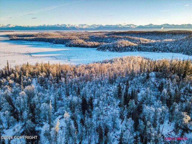 17497 S Dairy Loop, Wasilla AK, 99623 land for sale