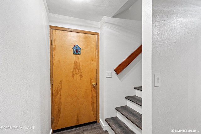 interior space featuring dark wood-type flooring