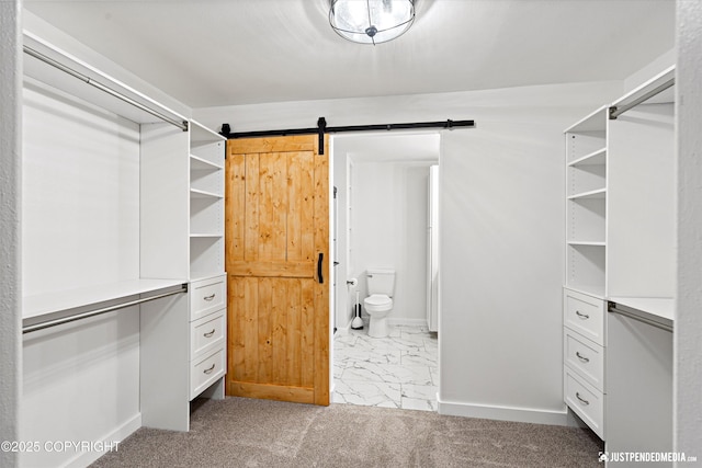 spacious closet with a barn door and light colored carpet