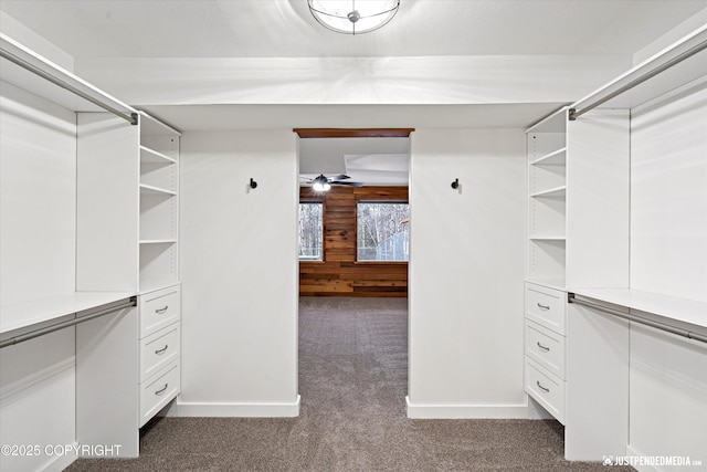 walk in closet with ceiling fan and dark colored carpet