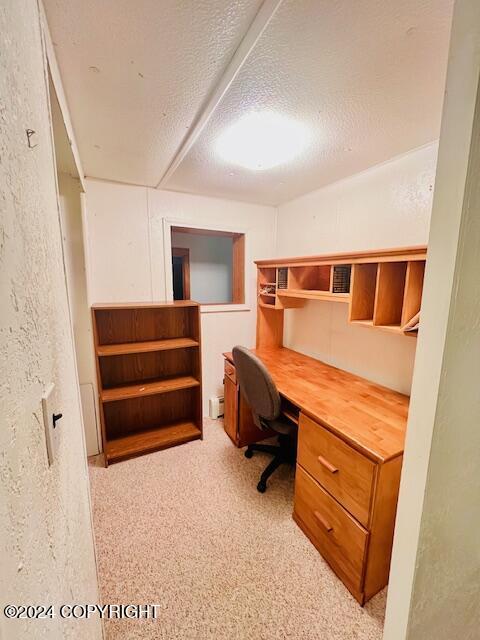 3411 Monashka Bay Rd, Kodiak, AK 99615 - office space featuring a textured ceiling, baseboard heating, and light colored carpet