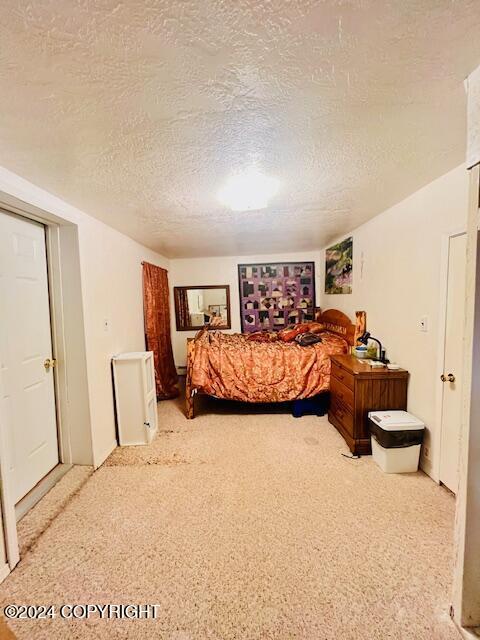 3411 Monashka Bay Rd, Kodiak, AK 99615 - bedroom featuring a textured ceiling and carpet