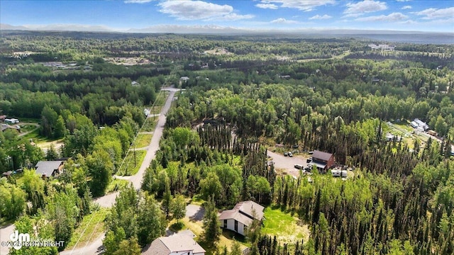 42483 Continental Way, Soldotna, AK 99669 - photo 38
