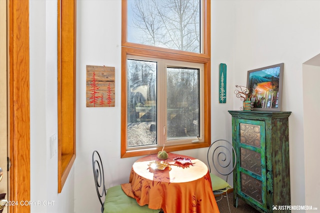 dining space featuring a wealth of natural light