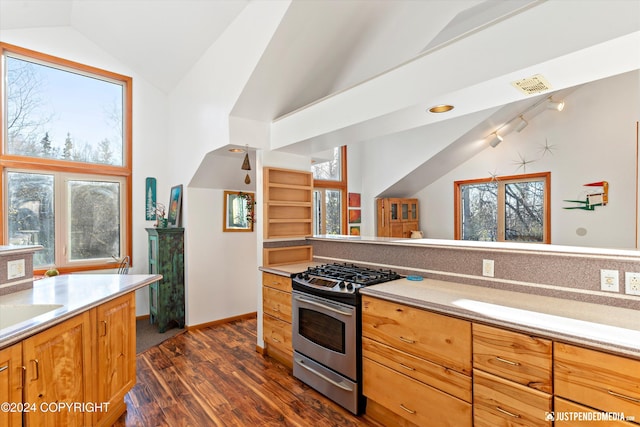 kitchen featuring stainless steel gas stove, dark wood-type flooring, vaulted ceiling, and a healthy amount of sunlight