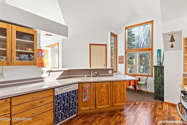 kitchen featuring dishwasher, sink, vaulted ceiling, dark hardwood / wood-style flooring, and stainless steel range oven