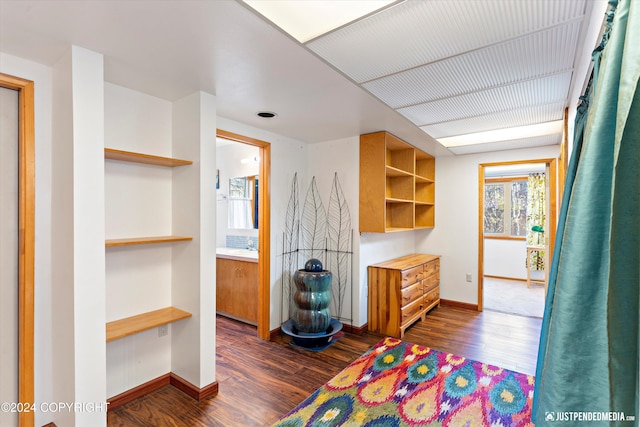 bedroom featuring dark wood-type flooring