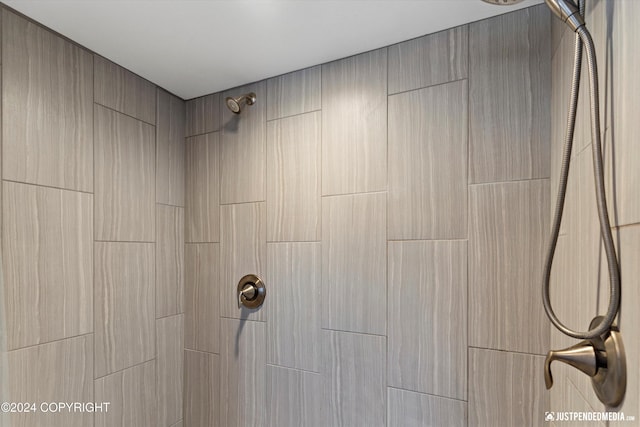 interior details with tiled shower