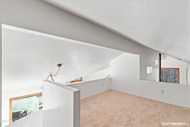 additional living space with light colored carpet, lofted ceiling, and a textured ceiling