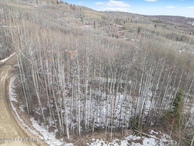 L13 Aspen Heights Dr, Fairbanks, AK 99712
