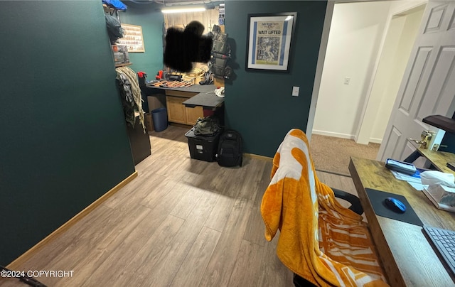 bedroom featuring light hardwood / wood-style flooring