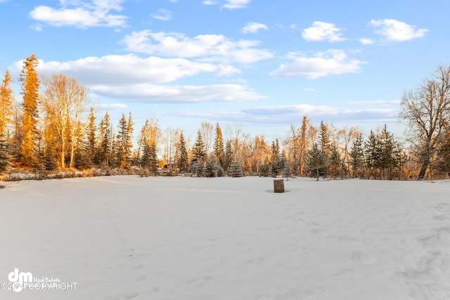 view of yard layered in snow