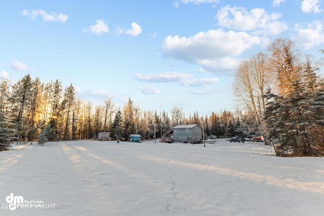 view of yard covered in snow