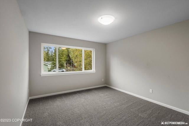 spare room with baseboards and carpet flooring