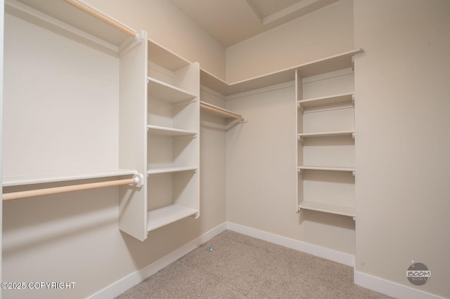 spacious closet featuring light carpet