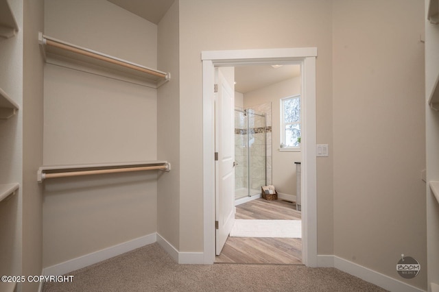 walk in closet with light colored carpet